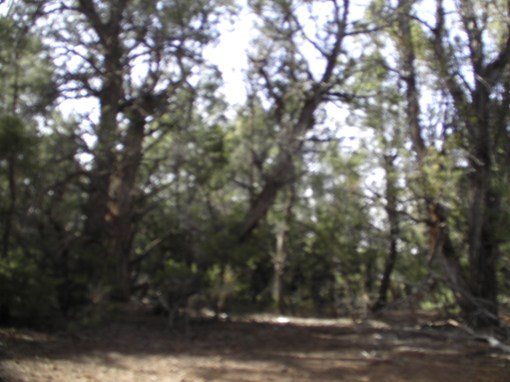 SANYO DIGITAL CAMERA